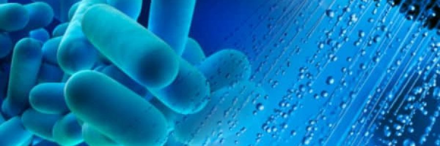 ZFoto_legionella-e1525343206217